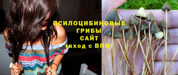 ПСИЛОЦИБИНОВЫЕ ГРИБЫ Магадан